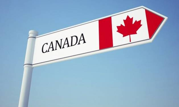 移民税务筹划：移民加拿大分红型保险税按100%个人所得税征收-善用保单贷款提款免税