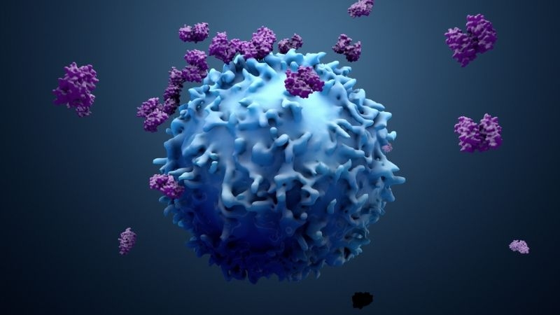 非手术癌症治疗：什么是癌症免疫治疗？免疫治疗药物有望彻底清除癌细胞？