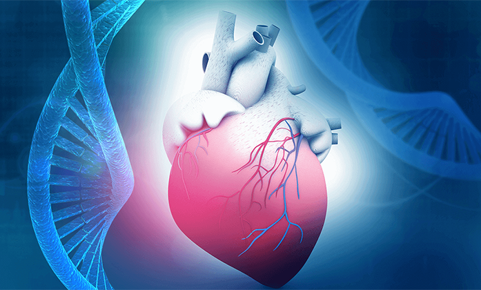 心臟病治療：內地官方集體訂購百萬心臟支架費用低原價95% 　香港醫療機構難加入集體訂購